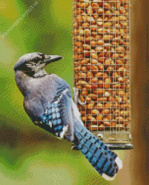 Bird Feeder Diamond Painting