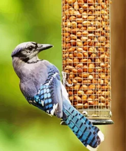 Bird Feeder Diamond Painting