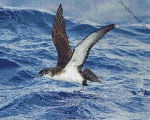 Bird Flying Over Ocean Diamond Painting