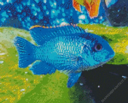 Blue Tropical Fish Diamond Painting