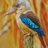 Blue Winged Kookaburra Diamond Painting