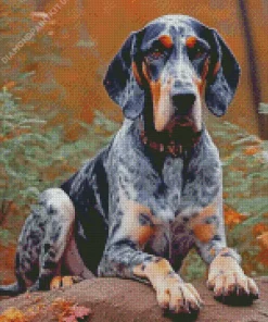 Bluetick Coonhound Diamond Painting