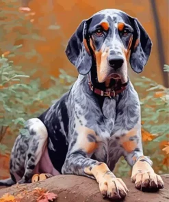 Bluetick Coonhound Diamond Painting