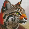 Bobcat Face Diamond Painting