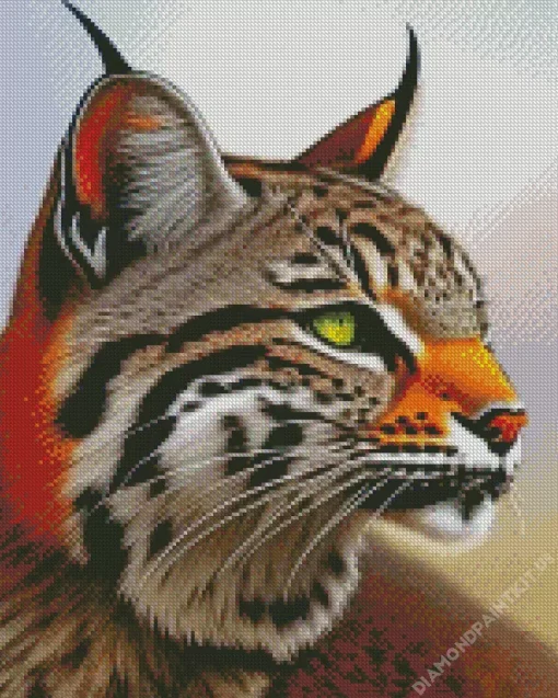 Bobcat Face Diamond Painting