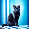 Bombay Cat With Blue Eyes Diamond Painting