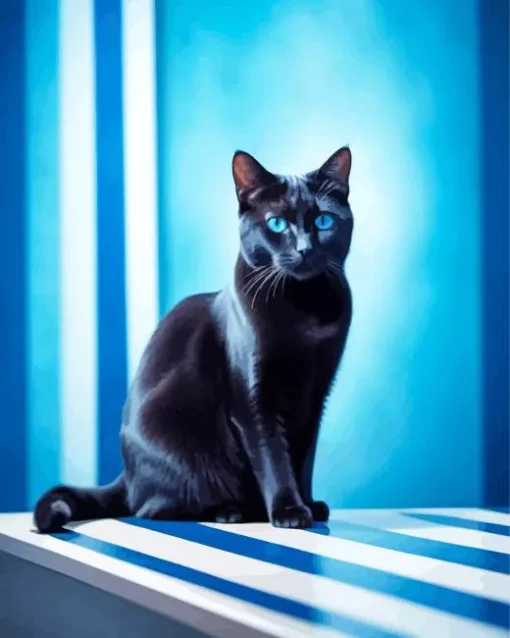 Bombay Cat With Blue Eyes Diamond Painting