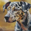 Catahoula Leopard Dog Diamond Painting