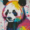 Colorful Bear Diamond Painting