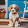 Cute Bernedoodle Diamond Painting