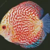 Discus Fish Diamond Painting