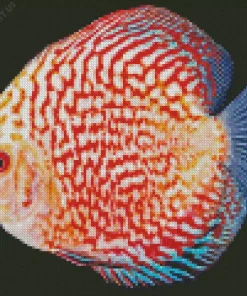 Discus Fish Diamond Painting