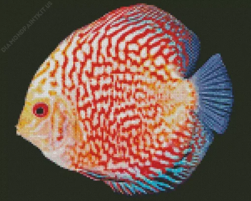 Discus Fish Diamond Painting