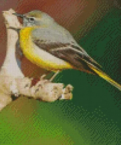 Grey And Yellow Bird Diamond Painting