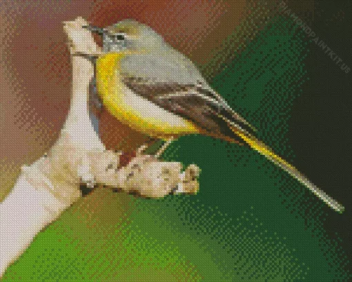 Grey And Yellow Bird Diamond Painting