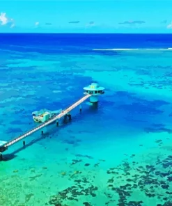 Guam Fish Eye Park Diamond Painting