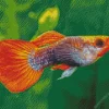 Guppy Fish Diamond Painting