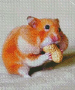 Hamster Eating Diamond Painting