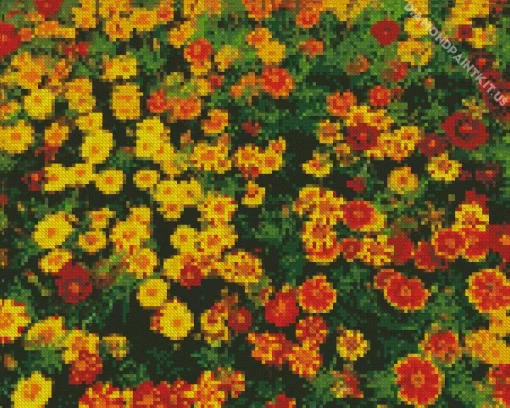 Harlequin Marigold Diamond Painting