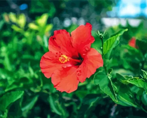 Hawaiian Flower Diamond Painting