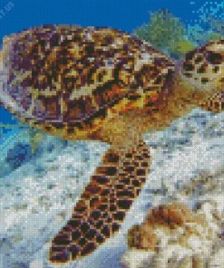 Hawksbill Sea Turtle Diamond Painting