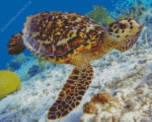 Hawksbill Sea Turtle Diamond Painting