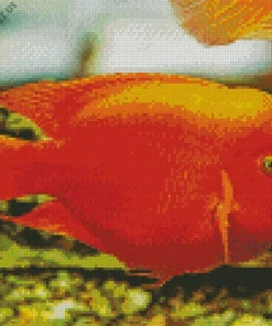 Heart Parrot Fish Diamond Painting