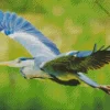 Heron Bird Flying Diamond Painting