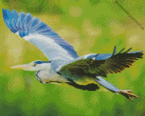 Heron Bird Flying Diamond Painting