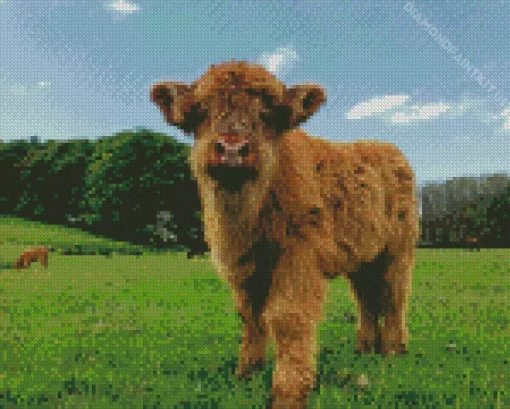 Highland Baby Cow Diamond Painting