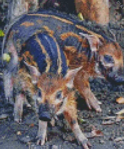 Hog Baby Animal Diamond Painting