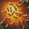 Honey Bee Hive Art Diamond Painting