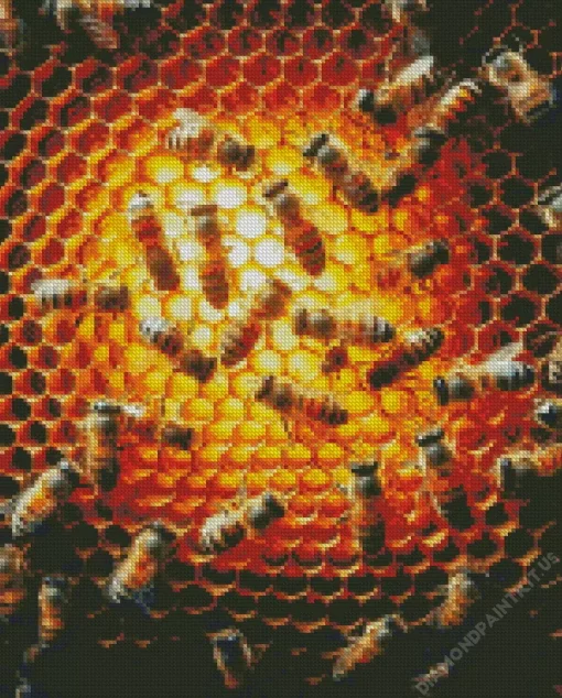 Honey Bee Hive Art Diamond Painting