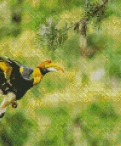 Hornbill Bird Diamond Painting