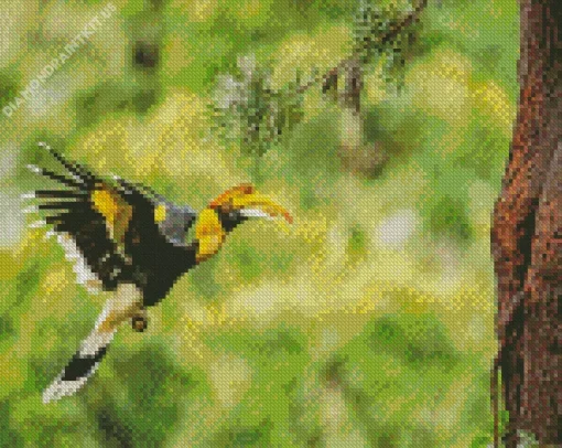 Hornbill Bird Diamond Painting