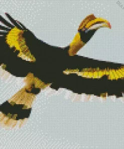 Hornbill Bird Flying Diamond Painting