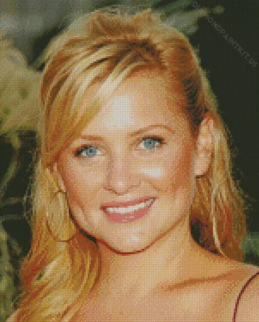 Jessica Capshaw Diamond Painting