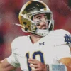 Notre Dame Football Player Diamond Painting