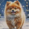 Pomeranian Dog Diamond Painting