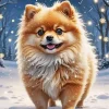 Pomeranian Dog Diamond Painting