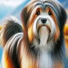 Tibetan Terrier Dog Diamond Painting