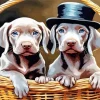 Weimaraner Puppies In A Basket Diamond Painting