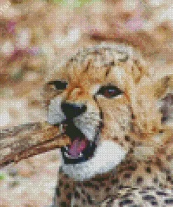 Cheetah Cub Diamond Painting