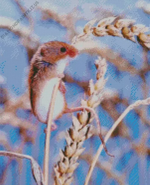 Eurasian Harvest Mouse Diamond Painting