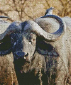 African Buffalo Diamond Painting