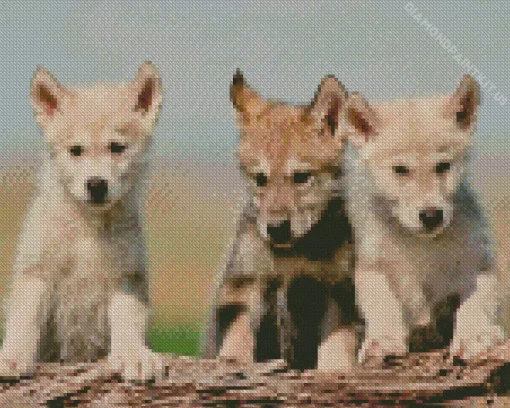 Baby Wolves Diamond Painting