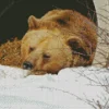 Bear Sleeping Diamond Painting