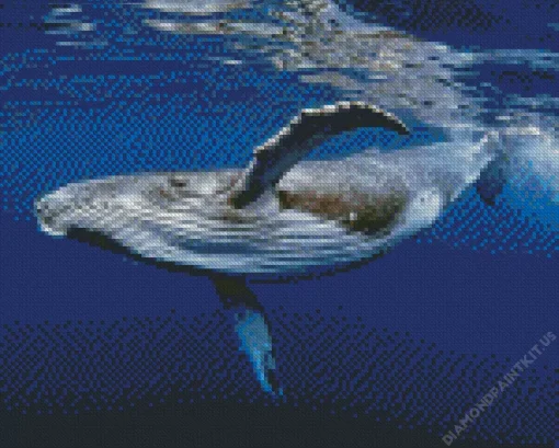 Big Blue Whale Diamond Painting