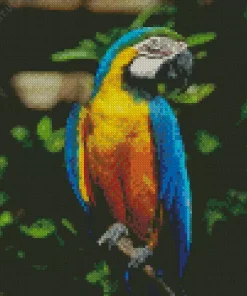 Blue And Gold Macaw Diamond Painting