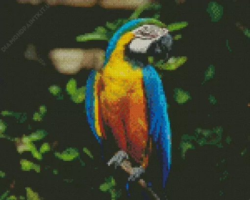 Blue And Gold Macaw Diamond Painting